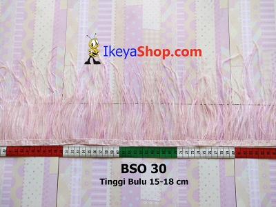 BSO 30  large2
